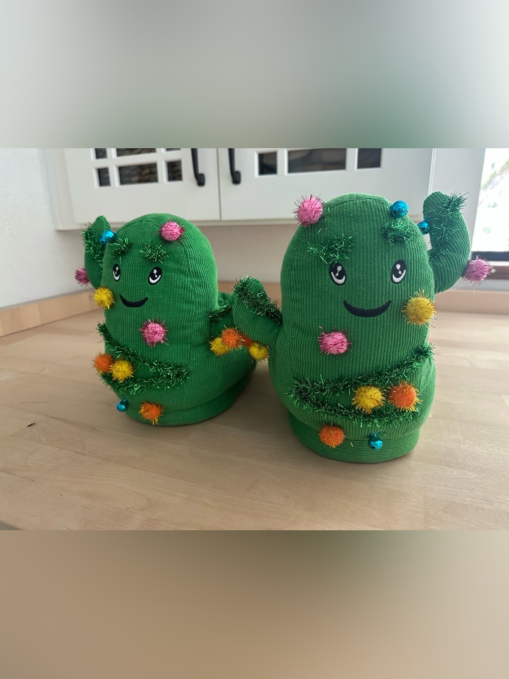 AERIE Cactus Pom Pom Slippers
